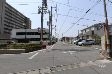 敷地北側の前面道路（東側から）