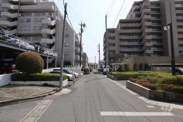 敷地東側の前面道路（北側から）