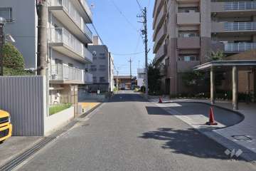 敷地の西側前面道路（北側から）