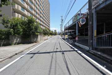 敷地南側の前面道路（西側から）