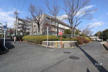 敷地南西側の前面道路