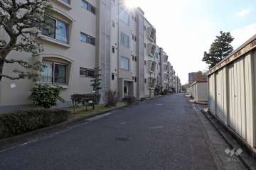 敷地北側の前面道路
