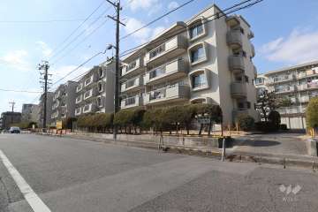 敷地南側の前面道路