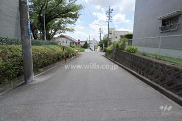 敷地東側の前面道路（北側から）