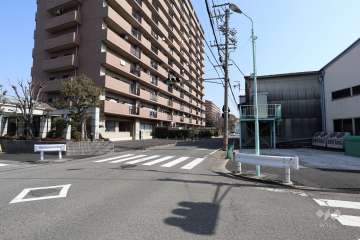 敷地南側の前面道路（西側から）