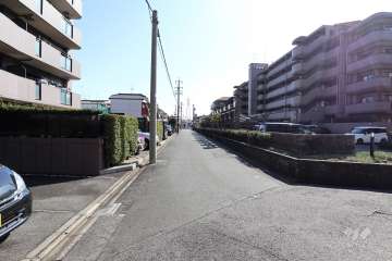 敷地北側の前面道路（西側から）