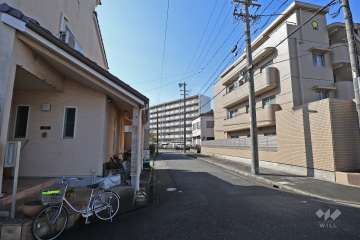 敷地東側の前面道路（北側から）