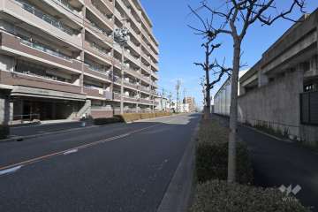 敷地東南側の前面道路（南西側から）