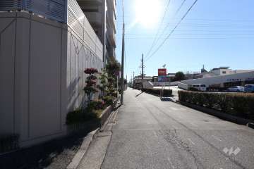 敷地西側の前面道路（北側から）