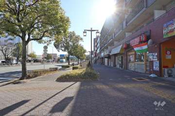 敷地東側の前面道路（北側から）