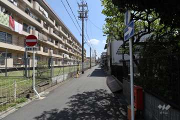 敷地南側の前面道路（西側から）