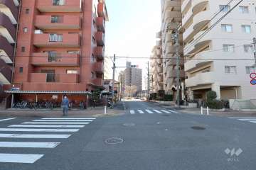敷地南西側の前面道路（北西側から）
