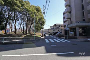 敷地北側の前面道路（春田野第38号線）