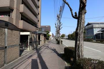 敷地東側の前面道路（南側から）