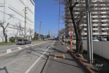 敷地西側の前面道路（南側から）