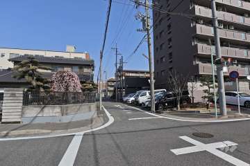 敷地西側の前面道路（南側から）
