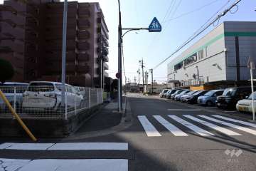 敷地西側の前面道路（北側から）