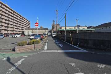 敷地南側の前面道路（西側から）