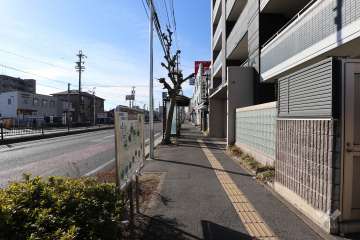 敷地南側の前面道路（東側から）