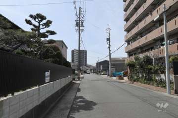 敷地南西側の前面道路（北東側から）