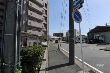 敷地西側の前面道路（北側から）