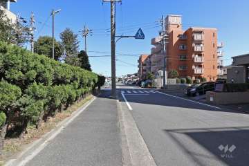 敷地北側の前面道路（西側から）