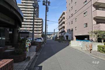 敷地西側の前面道路（南側から）