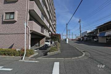 敷地南側の前面道路（西側から）