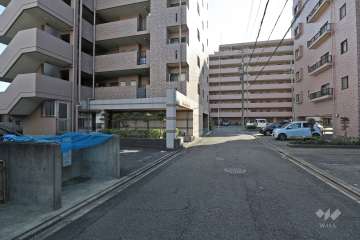 敷地西側の前面道路（北側から）