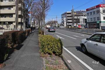 敷地東側の前面道路（南側から）