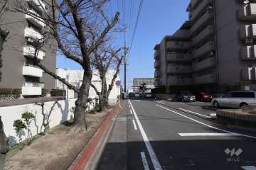 敷地西側の前面道路（南側から）