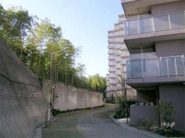 敷地の南側は竹林です。