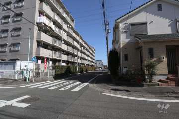 敷地南側の前面道路（西側から）