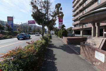 敷地南東側の前面道路（北東側から）