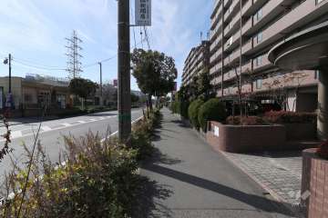 敷地南東側の前面道路（北東側から）
