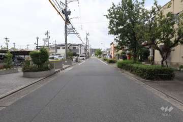 敷地東側の前面道路（南側から）
