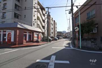敷地西側の前面道路（北側から）
