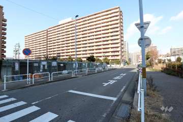 敷地東側の前面道路（南側から）
