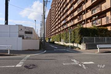 敷地南東側の前面道路（南東側から）