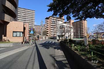 敷地北東側の前面道路（南西側から）