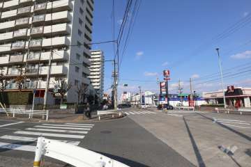 敷地東側の前面道路（南側から）