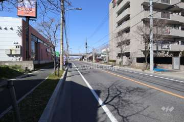 敷地の西側前面道路（南側から）