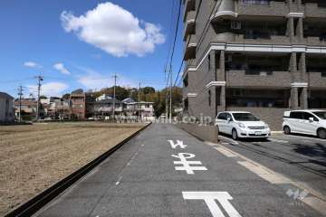 敷地の西側前面道路（南側から）