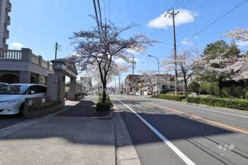 敷地の北側前面道路（東側から）