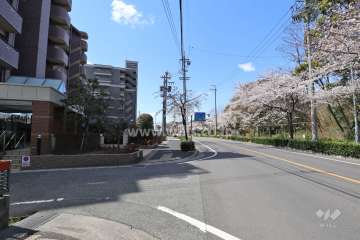 敷地の北側前面道路（東側から）