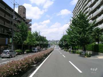 マンションの前面道路