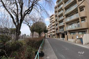 敷地南側の全面道路（南東側から）