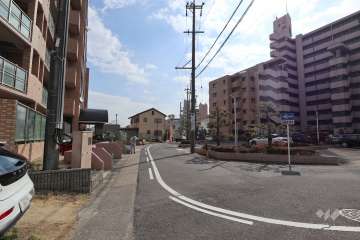 敷地南側の前面道路（西側から）