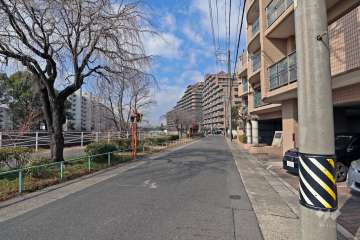敷地南側前面道路は、香流川沿いの並木道が続いています。