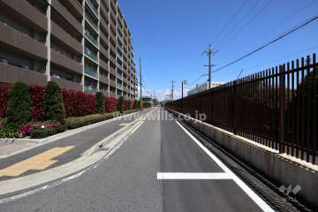 敷地南側の前面道路（西側から）